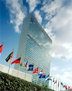 12 UN agencies